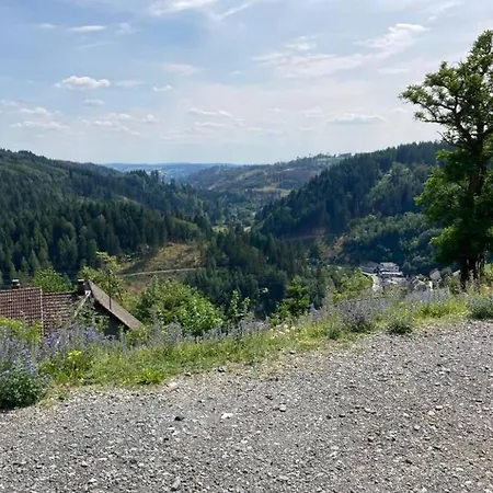 Casa de Férias Tinyhouse Wald *